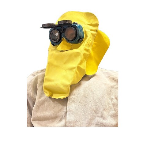 MODELLO SP1
